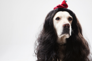 人毛のウィッグは医療用として最適？3つのメリットと4つのデメリット