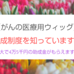【医療用ウィッグ購入費の助成制度と自治体一覧】知らないと損!